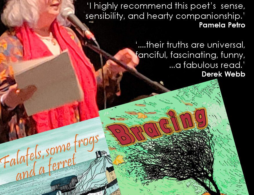 Bracing book launch at Mulberry Bush, Lampeter