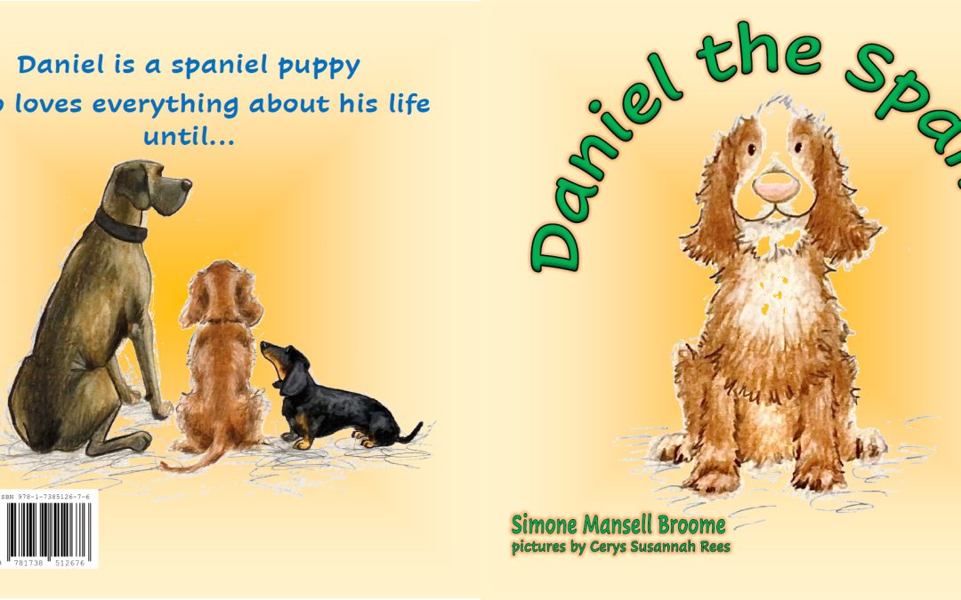 Just arrived – Daniel the Spaniel